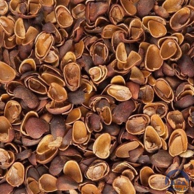 Скорлупа Кедрового Ореха (Barus Nut Shell) купить в Биробиджане